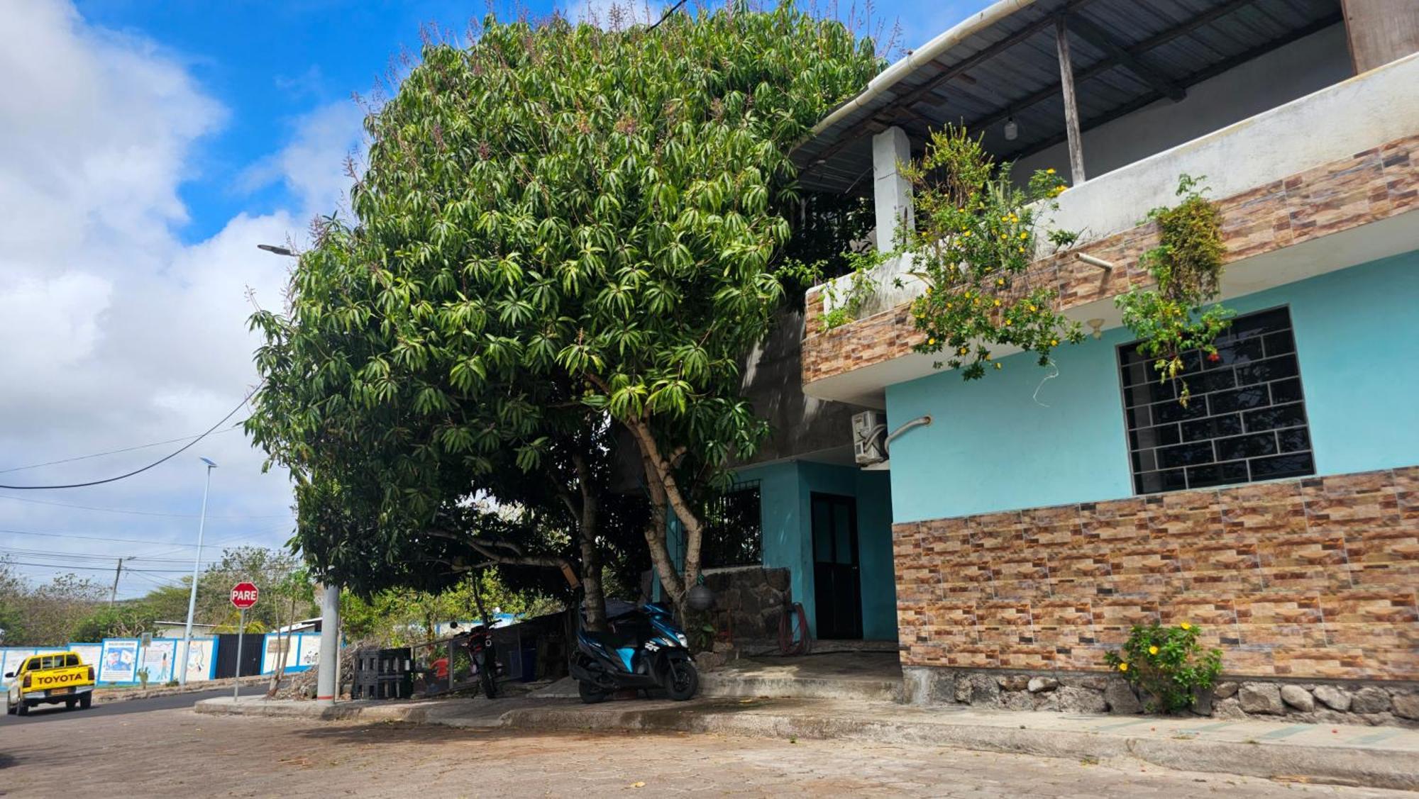 Flor'S House Apartment San Cristóbal Exterior foto